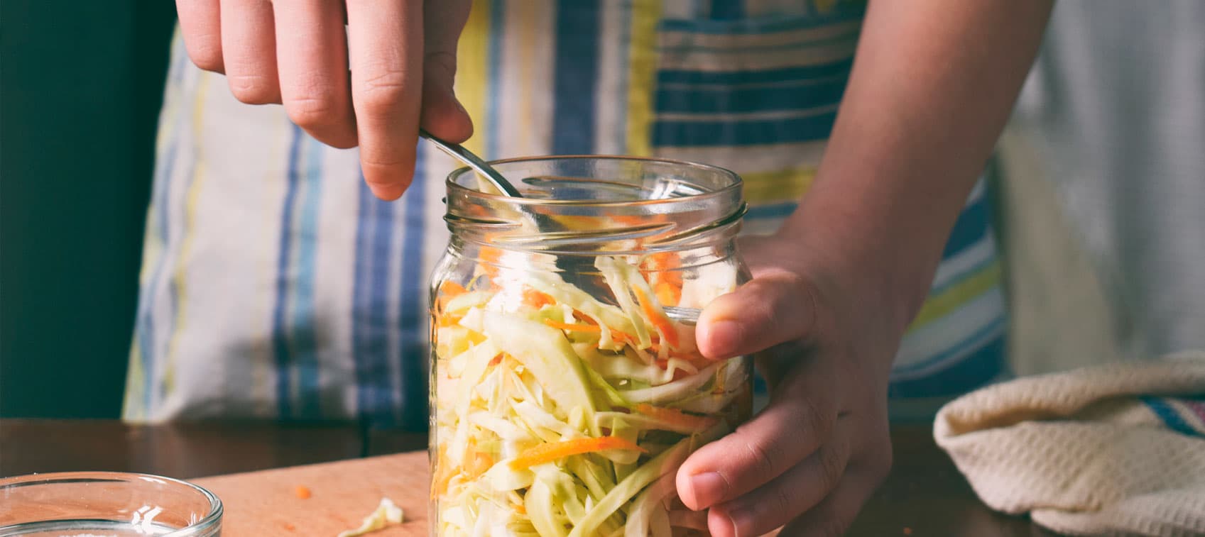 hd tips making fermented food cover