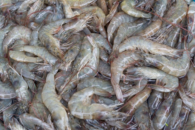 raw fresh shrimp prawn ice sell market 43525 1309