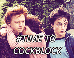 Cockblock Harry Potter