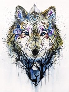 Str2_Dkbeauty_Dineshk_Lone Wolf