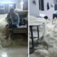 These Shocking Images Of A Mee Hoon Factory Will Make You Never Eat Them Again - World Of Buzz