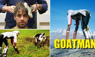 Here'S Why I Gave Up My Life In London To Become A Goat In Switzerland - World Of Buzz