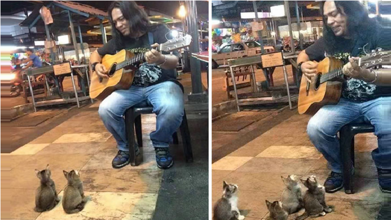 Malaysian Street Performer Goes Viral After Attracting Kittens With His Music - World Of Buzz 3