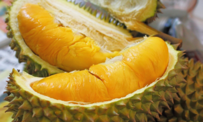Durian Is Haram?! Readers Fall For Satirical Post - World Of Buzz