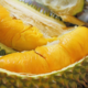 Durian Is Haram?! Readers Fall For Satirical Post - World Of Buzz