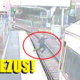Girl Jumps In Front Of Oncoming Train To Retrieve Dropped Phone - World Of Buzz 3