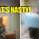 Hidden Camera Captures The Shocking Moment Maid Pours Urine In Boss'S Juice - World Of Buzz 1