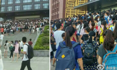 How The Library Is Literally Saving Lives In The Summer In China - World Of Buzz