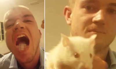 Aussie Who Bit Off Rat'S Head And Polished It Off With Vodka, Banned From Owning Pets - World Of Buzz