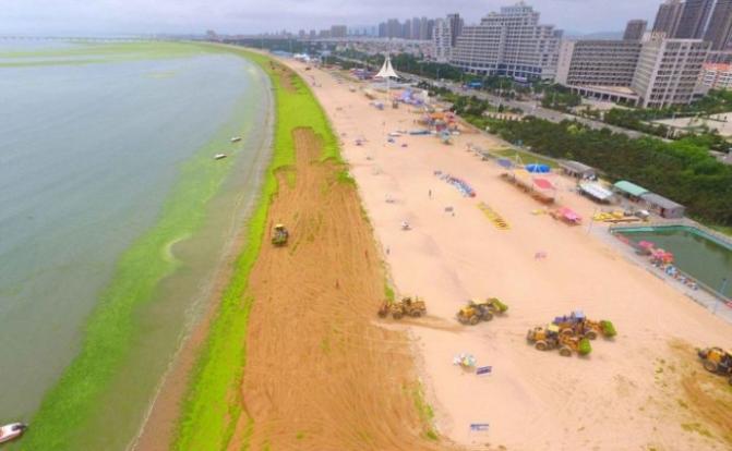 Covering Yourself In Algae Is The New Thing For Chinese Beachgoers - World Of Buzz 13