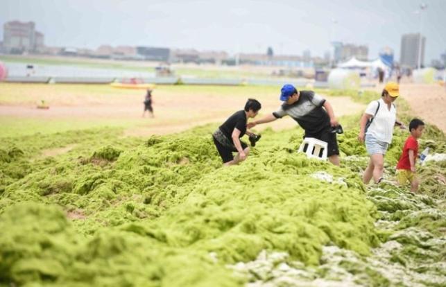 Covering Yourself In Algae Is The New Thing For Chinese Beachgoers - World Of Buzz 4