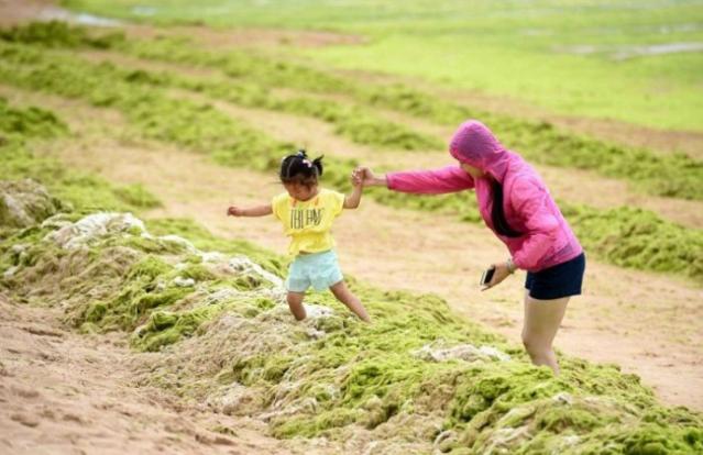 Covering Yourself In Algae Is The New Thing For Chinese Beachgoers - World Of Buzz 7