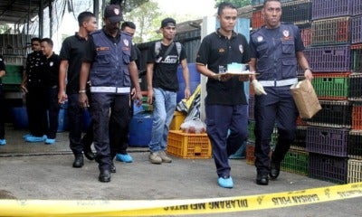 Family Of Four Shot Dead In Penang - World Of Buzz 2
