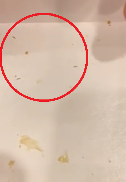 Mcdonalds Responds To Woman Who Discovers Worms Wriggling Around Her Fillet-O-Fish Box - World Of Buzz 1