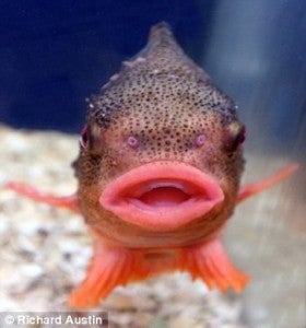 Say Goodbye To The Duck Face And Hello To The New Selfie Face The Fish Gape World Of Buzz