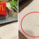 Singaporean Woman Discovers Worms Wriggling Around Her Fillet-O-Fish Box - World Of Buzz 1