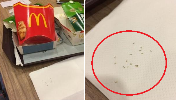 Singaporean Woman Discovers Worms Wriggling Around Her Fillet-O-Fish Box - World Of Buzz 1
