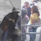 Thieves In New York Con Asian Aunties Out Of $500,000 By Telling Them Their Money Is Cursed - World Of Buzz