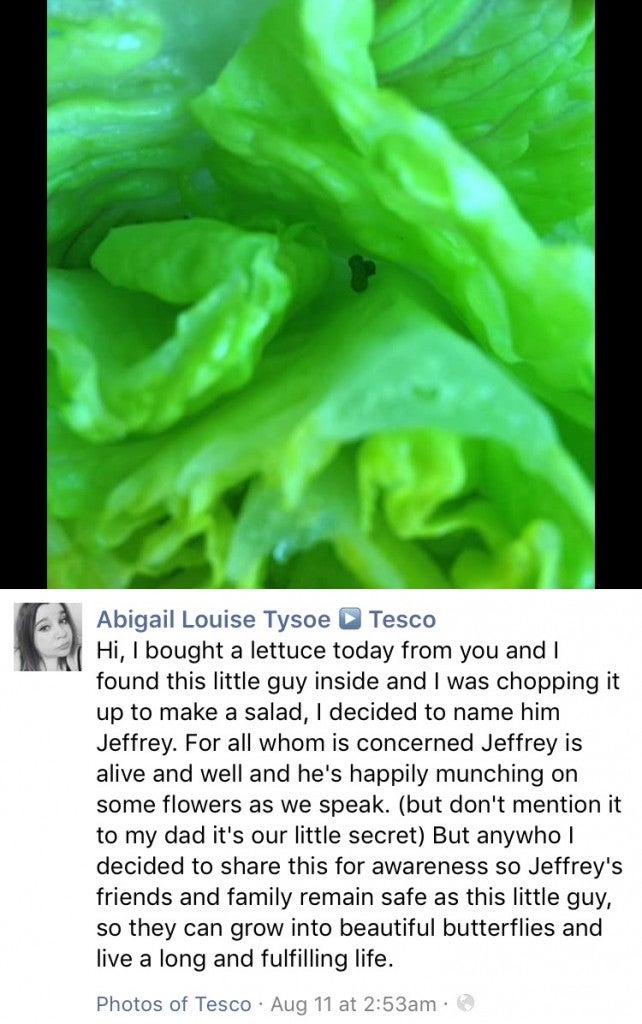 Epic Customer Service by Tesco to lady who found a Caterpillar in her Lettuce - World Of Buzz 1