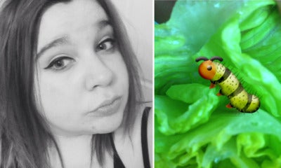 Epic Customer Service By Tesco To Lady Who Found A Caterpillar In Her Lettuce - World Of Buzz 8