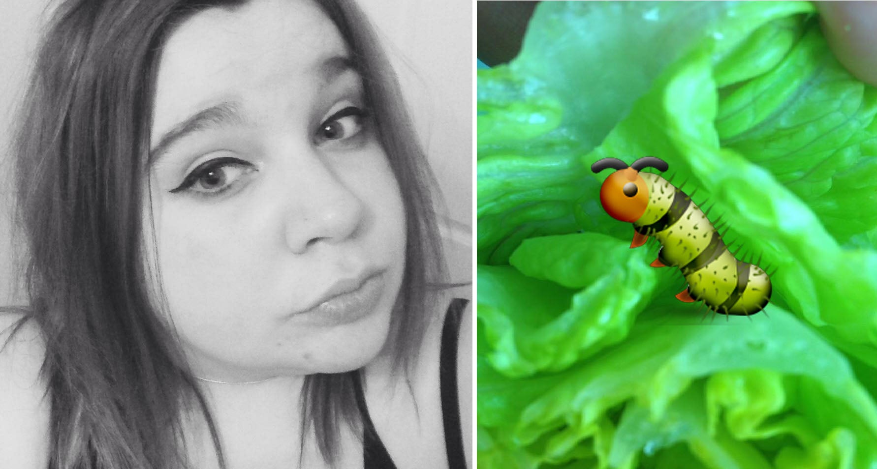 Epic Customer Service By Tesco To Lady Who Found A Caterpillar In Her Lettuce - World Of Buzz 8