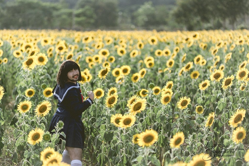 'Japanese Girl In Sunflower Field' Has The Internet Is Going Wild And It's Hilariously Amazing! - World Of Buzz 2