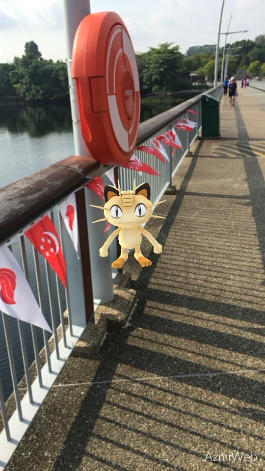Singapore Pokemon Go Trainer Finds Floating Corpse Whilst In Search Of Mythical Monsters - World Of Buzz 4