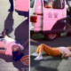 Two Women Knocked Unconscious Foaming At The Mouth After Raging At Each Other For 8 Hours Straight - World Of Buzz