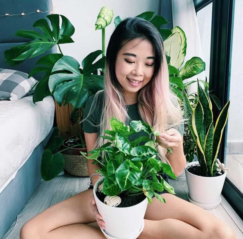 Japan is Desperately Recruiting As They Don't Have Enough Male Porn