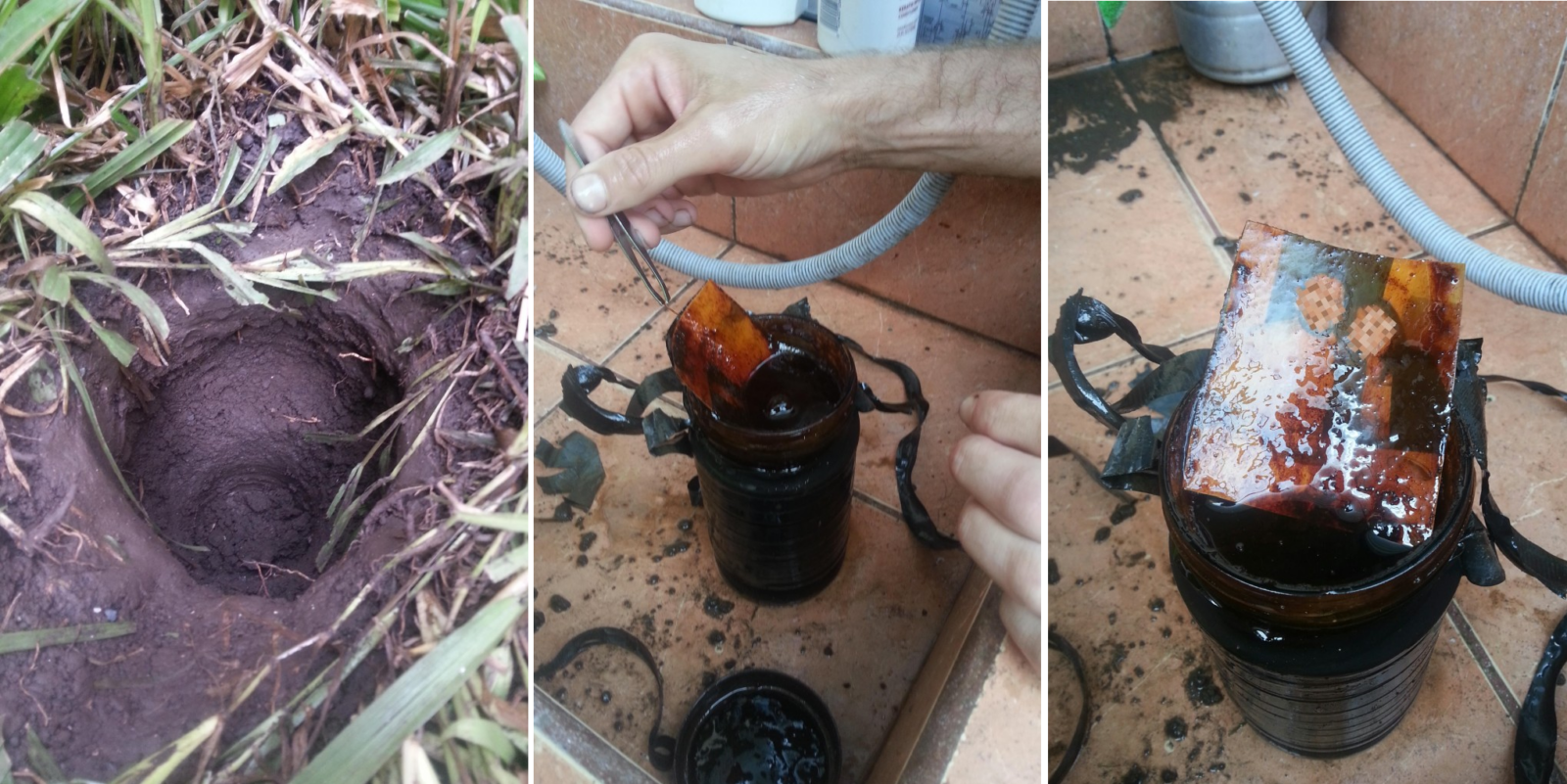 Couple Were Gardening When They Found Something Super Eerie - World Of Buzz
