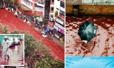 Disgusting River Of Blood Flows Through Dhaka Streets, It Will Make You Want To Puke - World Of Buzz 3