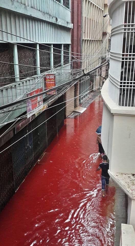 Disgusting River Of Blood Flows Through Dhaka Streets - World Of Buzz 1