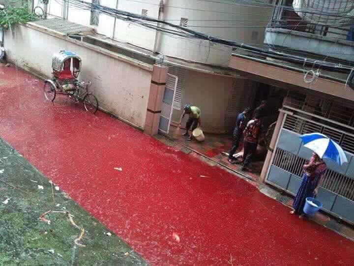 Disgusting River Of Blood Flows Through Dhaka Streets - World Of Buzz 3