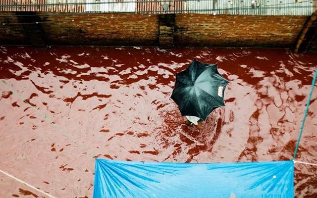 Disgusting River Of Blood Flows Through Dhaka Streets - World Of Buzz 5