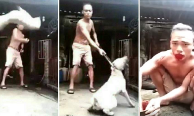 Evil Man Abuses Dogs Then Does One Of The Most Disgusting Things Ever! - World Of Buzz 1