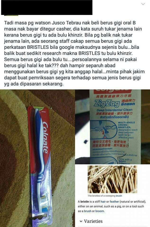 Toothbrushes Are Not Halal Because They Are Made From Pig's Hair, According To A Genius - World Of Buzz