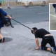Woman Takes Man For A Walk, Doggy-Style! (Literally) - World Of Buzz 5