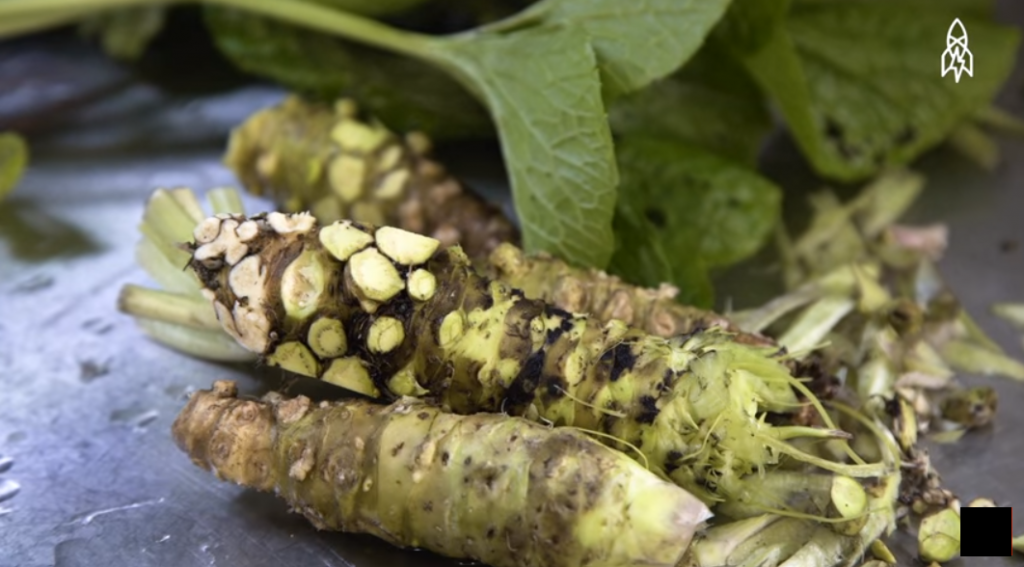Did You Know That You've Been Eating Fake Wasabi All Along? - World Of Buzz 1