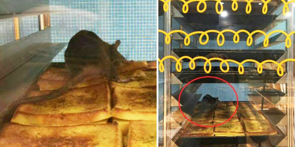 Famous Bakery In Mid Valley Causes Outrage Among Netizens When Pictures Of Rat On Their Bread Goes Viral - World Of Buzz