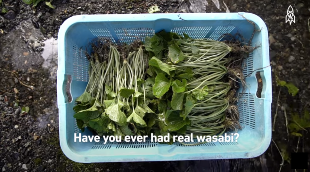 Have You Had Wasabi? Well Its Likely What You Had Isn't Really Wasabi! - World Of Buzz 5