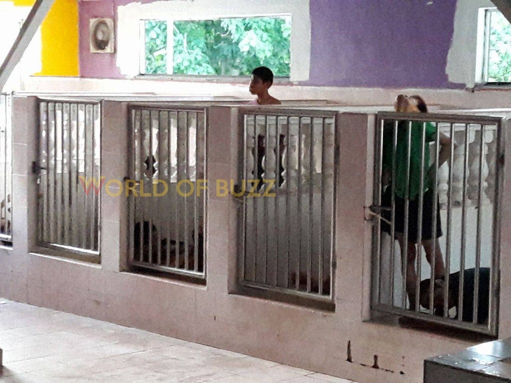Malaysian Girl Discovers Shocking Scene of Disabled Kids Locked Up in Cages Like Dogs - World Of Buzz 1