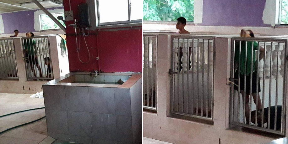 Malaysian Girl Discovers Shocking Scene Of Disabled Kids Locked Up In Cages Like Dogs - World Of Buzz