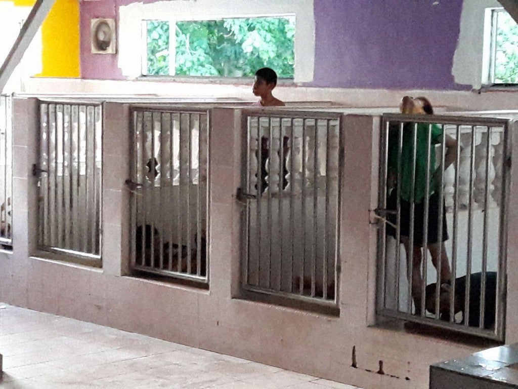 Malaysian Girl Shockingly Finds Disabled Kids Locked Up in Cages - World Of Buzz