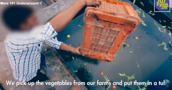 Outrageous Video Shows How Indian Farmers Dye And Inject Vegetables To Make Them Look 'Bigger And Fresher' - World Of Buzz 5