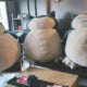 Singaporean Man Buys The Best Gift For Wife, Gigantic Snorlax Plushies! - World Of Buzz 1