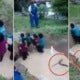 Viprimary School Girls Forced To Swim Through Snake Infested Pond As Part Of Camp Acitvity - World Of Buzz