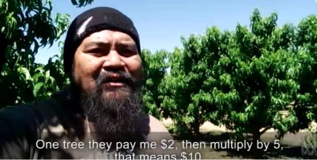 Australian Farms Use Illegal Immigrant Workers, Many Malaysians Usually Hired - World Of Buzz 2