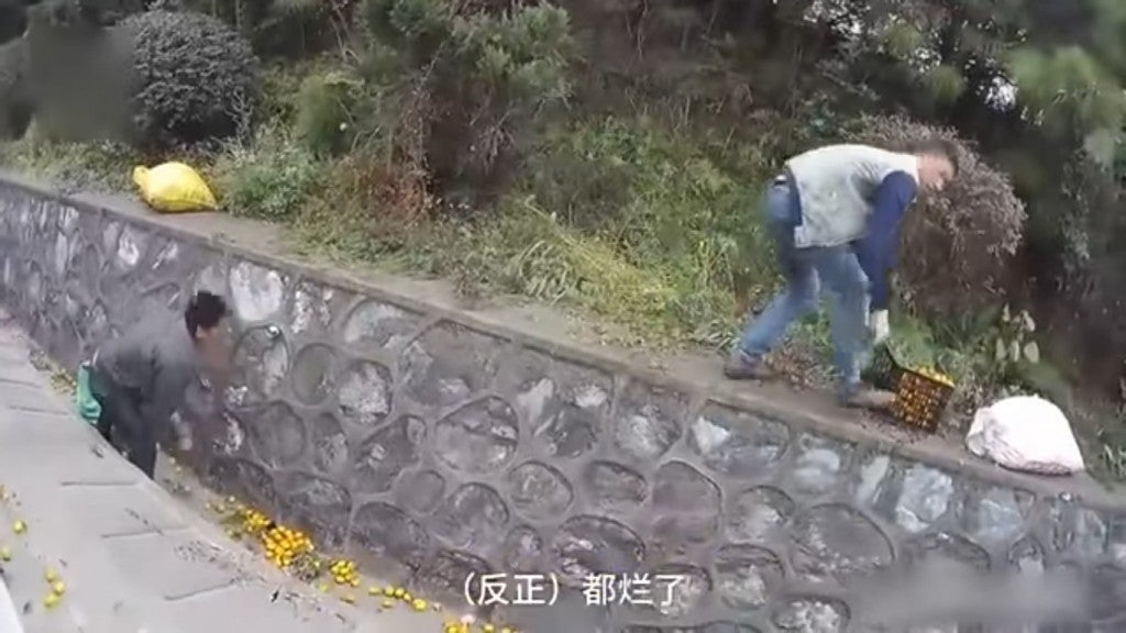 Chinese Man Cries As Villagers Steal His Oranges After His Lorry Overturned. - World Of Buzz 3