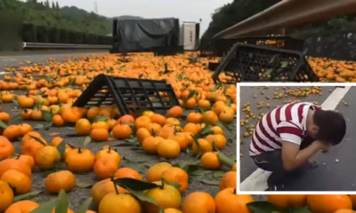 Chinese Man Cries As Villagers Steal His Oranges After His Lorry Overturned. - World Of Buzz 7
