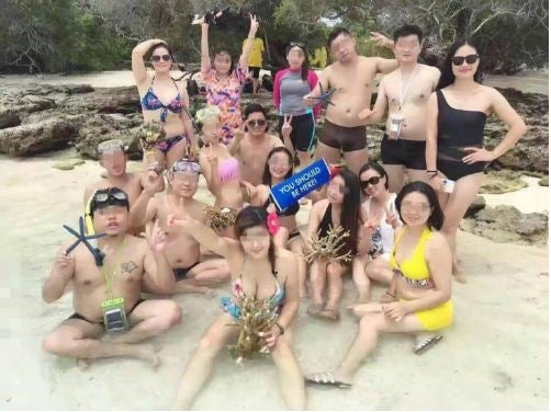 Chinese Tourists Caught Stealing Marine Animals From A Sleepy Fishing Village - World Of Buzz 6